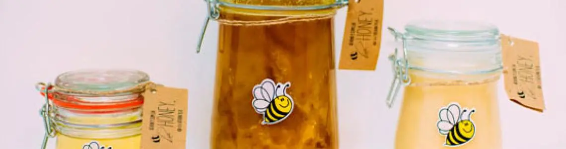 Give honey: how to make an apiary a profitable business