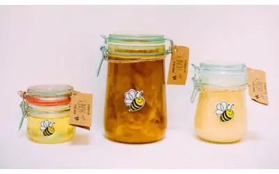 Give honey: how to make an apiary a profitable business